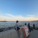 오션스토어 | 해운대 달맞이거리 여행코스 추천 | 미포항 미피스토어 부산, 부산 한정판 미피, 해운대 오션뷰 카페 후기
