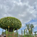 상신리 주차장 화장실 이미지