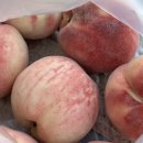 럭키청과 이미지