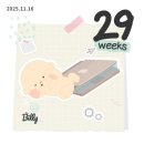 큐티펫 | 임신일기 ㅣ33주차 _ 임신9개월차 임산부, 임신후기