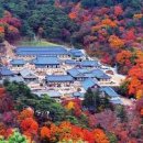경남 드라이브 코스 전국 유명 사찰 경남 합천 해인사 이미지