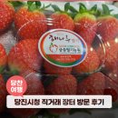해람농산물판매 | 당진시청 직거래 장터 방문 후기!