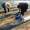 선도중학교 이미지