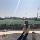 프로퍼밀도 이미지