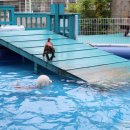 비숑마을펜션 이미지