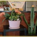 임실치즈피자 N치킨 이미지