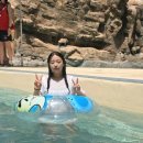 여름의 시작 2025년 캐리비안베이 방문기&amp; 6월할인 준비물
