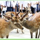 동도사 - 용인시 처인구 이동면 | 동도사
