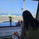 [제주도 한달살기] 로스트앤헤븐/새별오름/노랑해바라기김밥