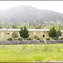 의성초등학교 이미지