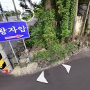 [겨울제주 한달살이] #1 뚜벅이의 군산 오름 탐방 후기