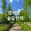 숲길 이미지
