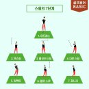 위너3D골프연습장 | 골프 입문가이드3 - 골프 스윙단계부터 공부하기(도곡동골프)