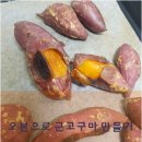 부산글라스텍