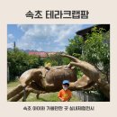 테라크랩팜 | 속초 가볼만한 곳 실내전시 테라크랩팜 방문후기
