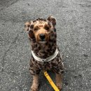 말랑말랑 이미지