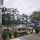 감포 더 고아라 비치 펜션 이미지