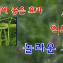 청양친환경블루베리농장 이미지