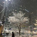 (주)호텔파크하비오 이미지