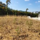 용천공인중개사사무소 이미지