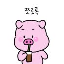 하이오커피신항