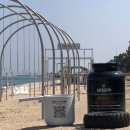 명문헬스클럽 | 🌊 2024년 해수욕장이 완전히 달라졌다! 이제 바다에서 헬스도 하고 DJ파티도 즐긴다고? 😱