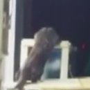 수달횟집 이미지