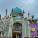 타이거벨리 이미지