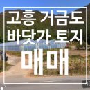고흥공인행정사