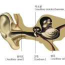 사도경로당 이미지