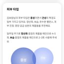 보테에스테틱 이미지