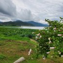 남원 진기리 느티나무 이미지