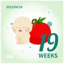 은희네목장 이미지