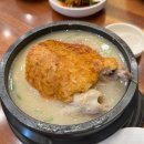 이우철삼계탕 | 천안맛집 백석동 이우철누룽지삼계탕 후기