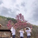 스테이 꿈의대화 네이버블로그