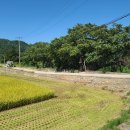 무쇠점길 이미지