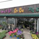 꼬까나무