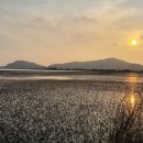 약산면-5 이미지