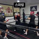 제로복싱 네이버블로그