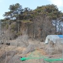 원스농장 이미지