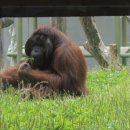 서울대공원 이미지