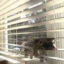 에스엔소프트 | 대구 상인동 퍼스널컬러 “컬러픽” 후기