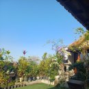 신덕슈퍼 - 원주시 상지대길 65 | 우붓 가성비 신상 숙소 추천 루마 찬드리(Rumah Candri)! 로컬 맛집 신덕 와룽(SINDUK WARUNG), 사태 맛집!