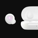 버즈 카카오 검색결과