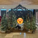 (주)보광제주 휘닉스아일랜드 | 제주 휘닉스 아일랜드 방문 후기