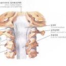 염기룡한의원 이미지