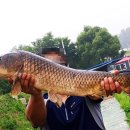 백달낚시터 이미지