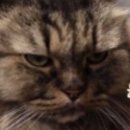 공세농장 이미지