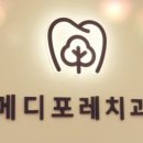 포레치과의원 네이버블로그