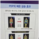 라온다이어트
